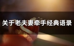 关于老夫妻牵手经典语录(86句)