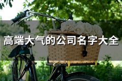 高端大气的公司名字大全(精选152个)