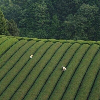 微信头像女自然风景(22张)