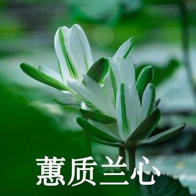 适合老人的微信头像(共50张)