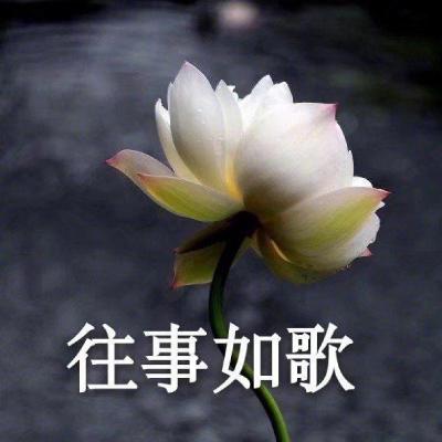 适合老人的微信头像(共50张)