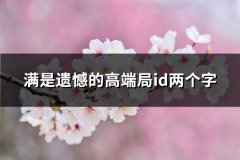 满是遗憾的高端局id两个字(精选120个)