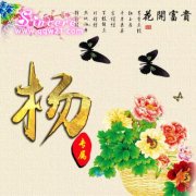 杨姓的漂亮的微信头像(共16张)