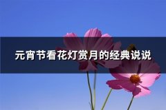 元宵节看花灯赏月的经典说说(共94句)