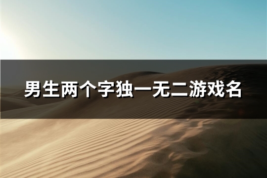 男生两个字独一无二游戏名(136个)